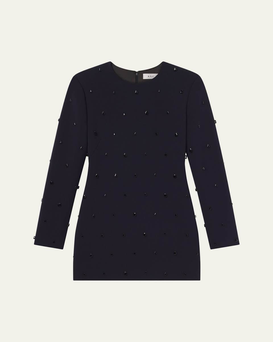 Kenna Embellished Long-Sleeve Mini Dress